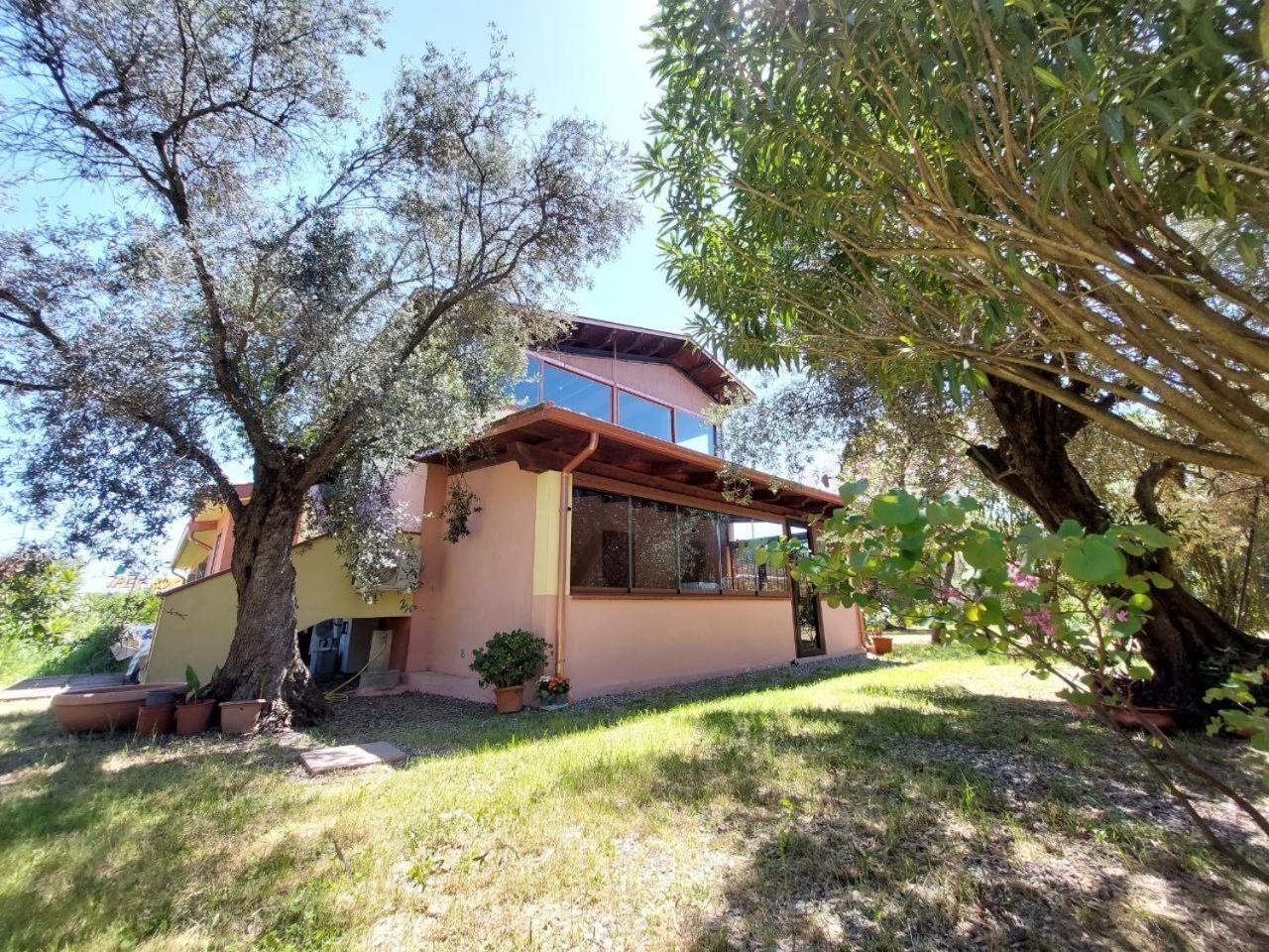 Апартаменти Casa L' Antico Ulivo Іглесіас Екстер'єр фото